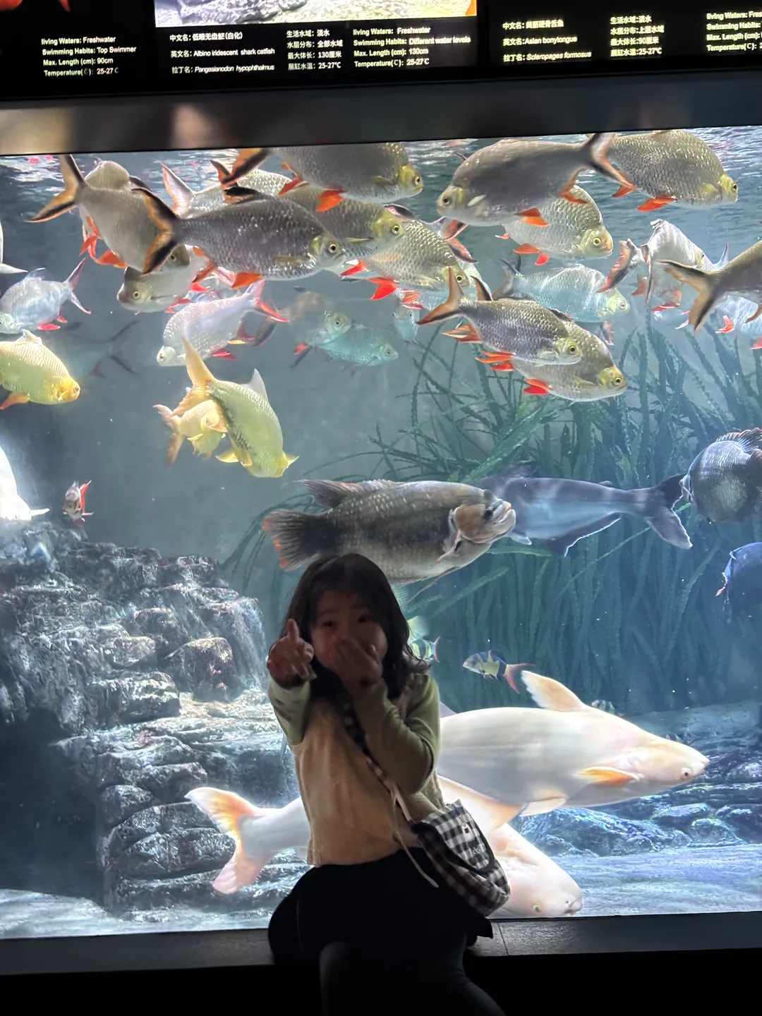 Shanghai Ocean Aquarium 사진 9