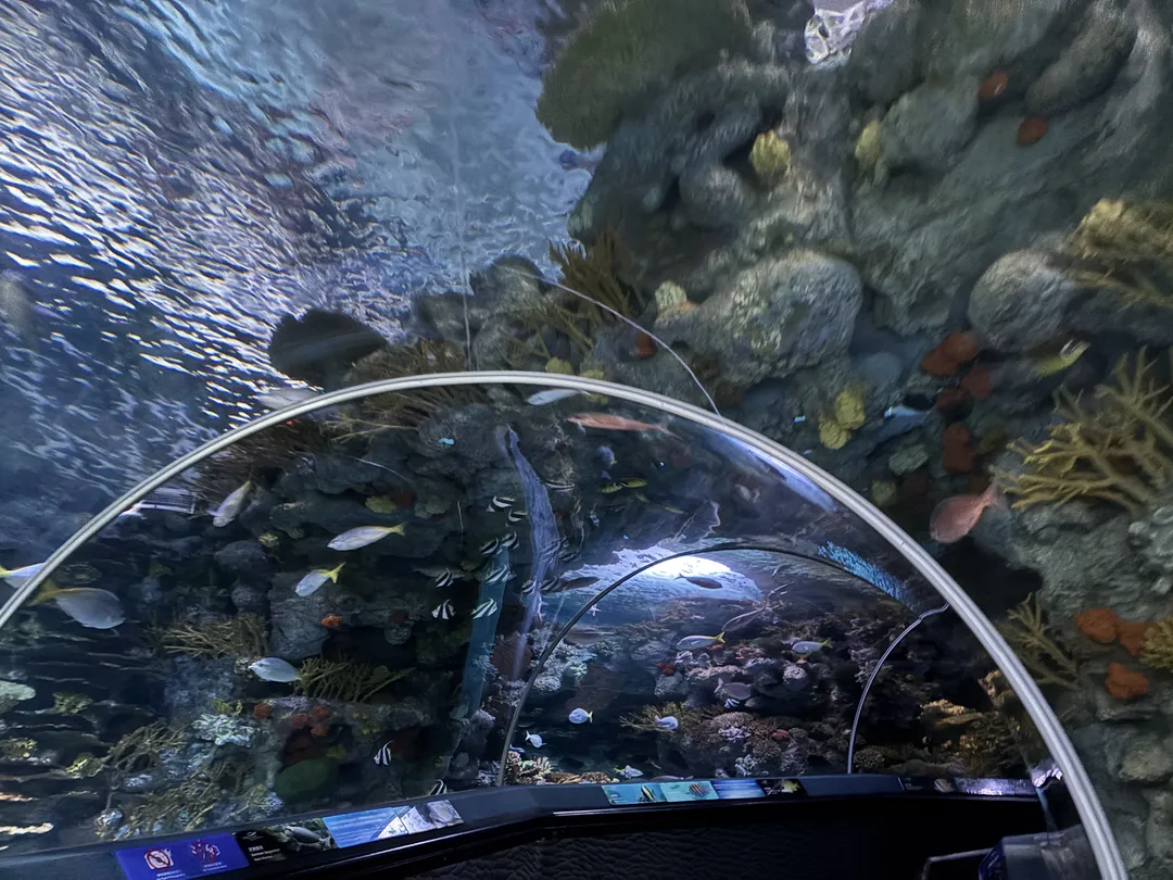 Shanghai Ocean Aquarium 사진 11