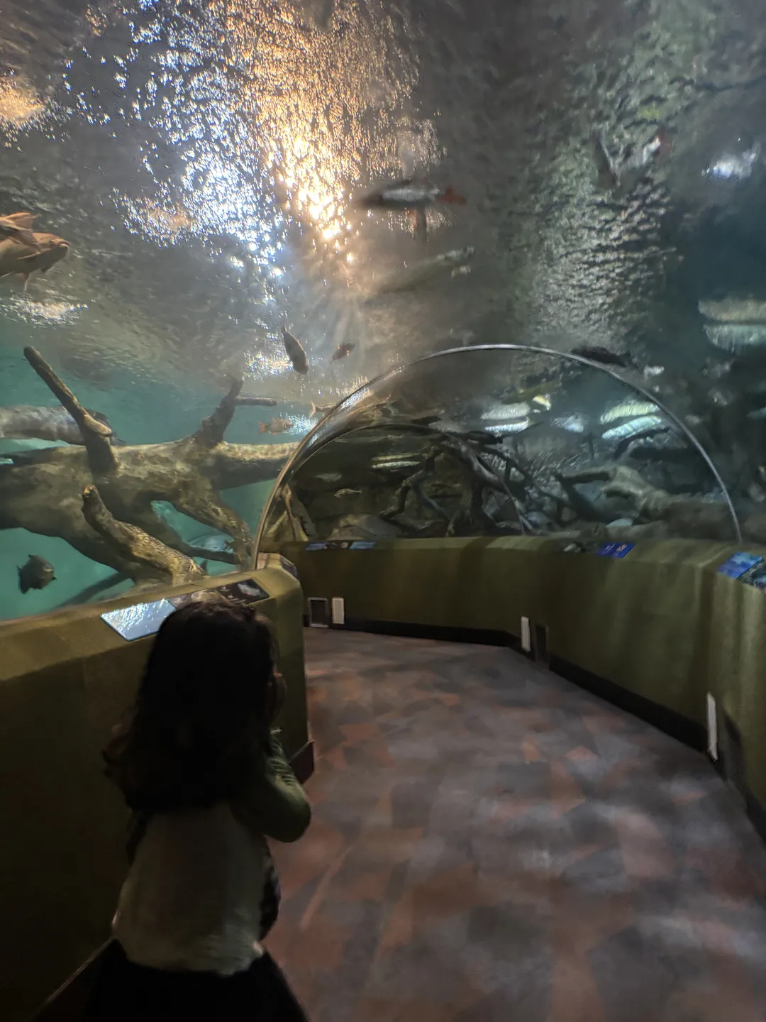Shanghai Ocean Aquarium 사진 6