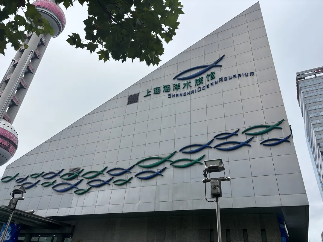 Shanghai Ocean Aquarium 사진 15