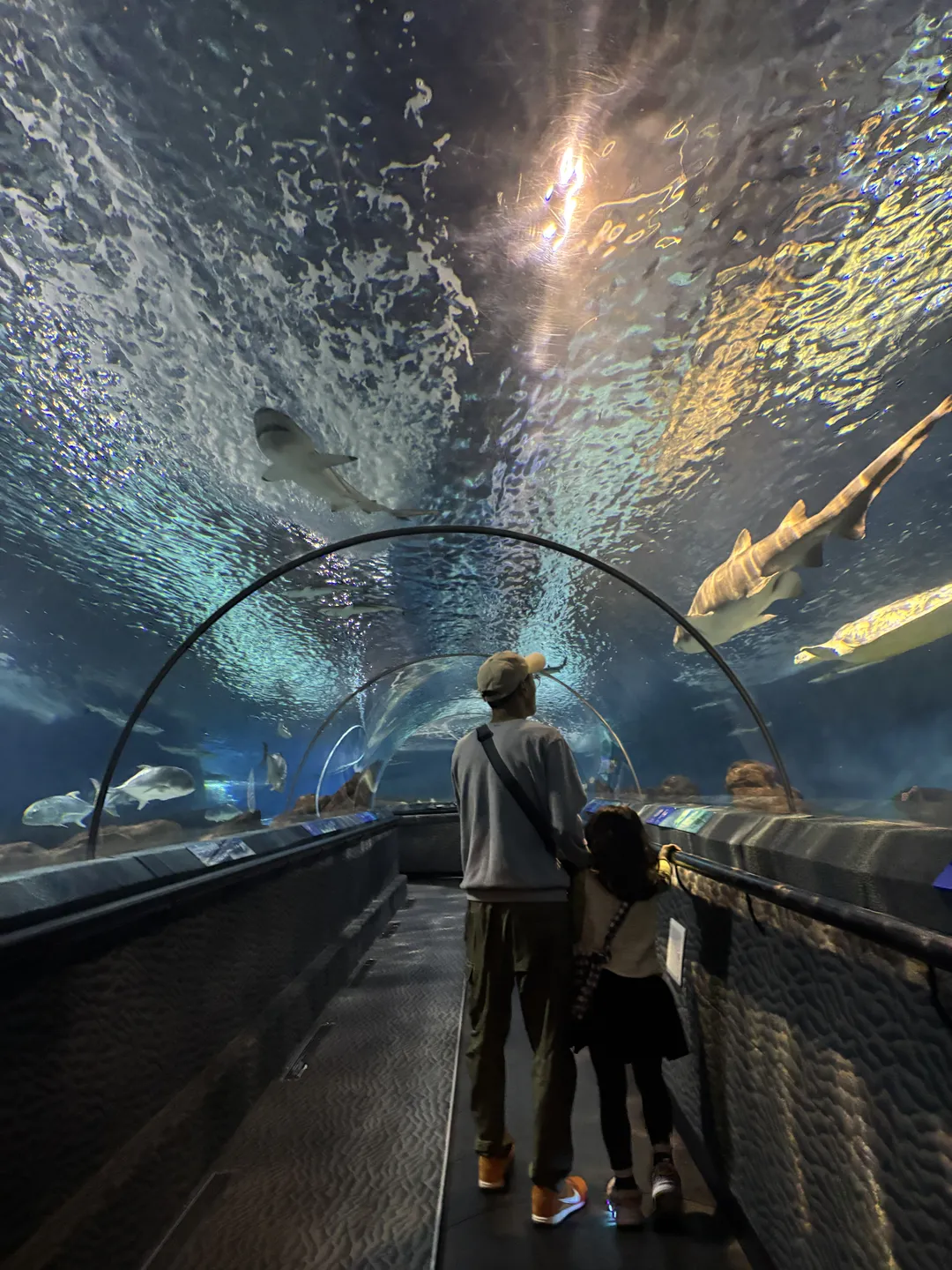 Shanghai Ocean Aquarium