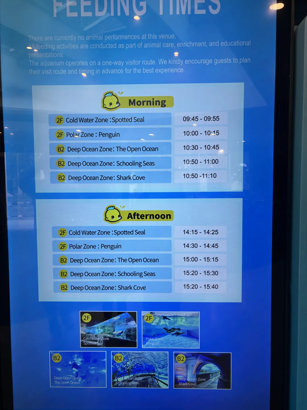 Shanghai Ocean Aquarium 사진 14