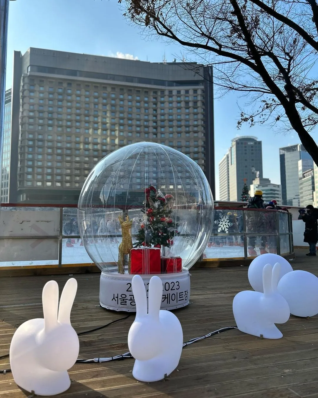 서울광장 스케이트장(26/12/18 ~ 27/02/09) 사진 6