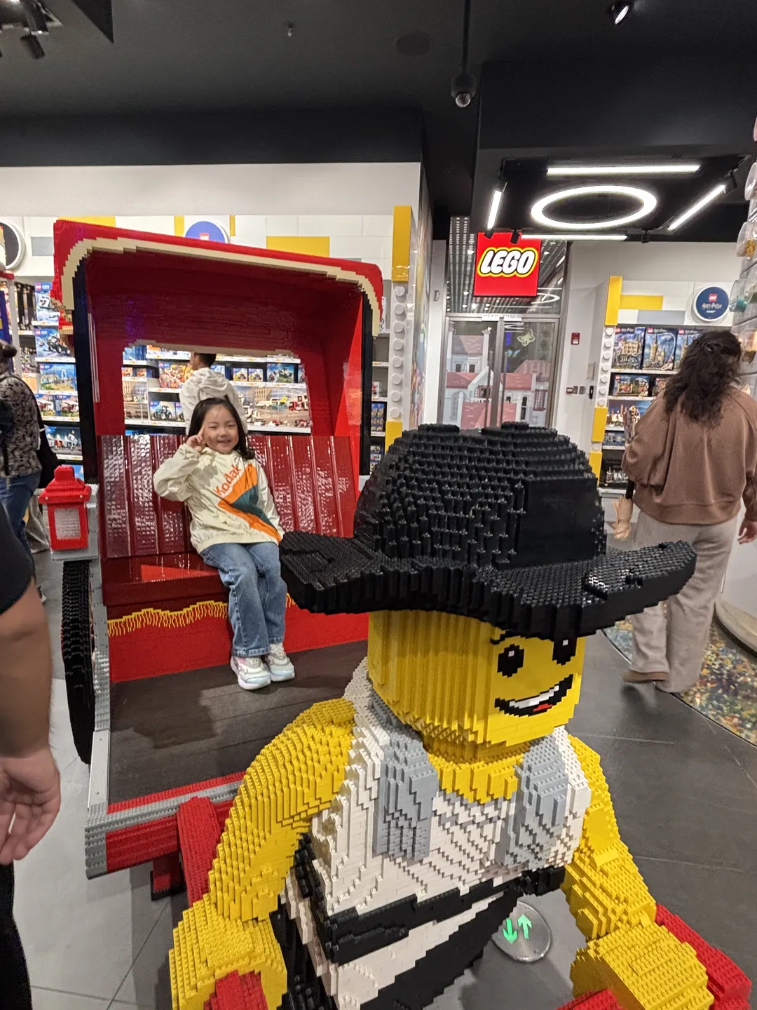 Lego新世界 사진 13