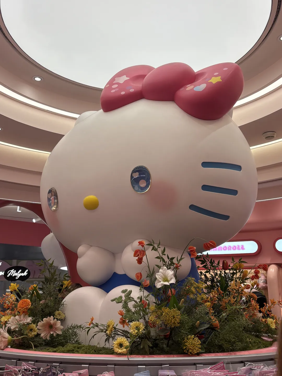Sanrio shop(홍이국제광장점)