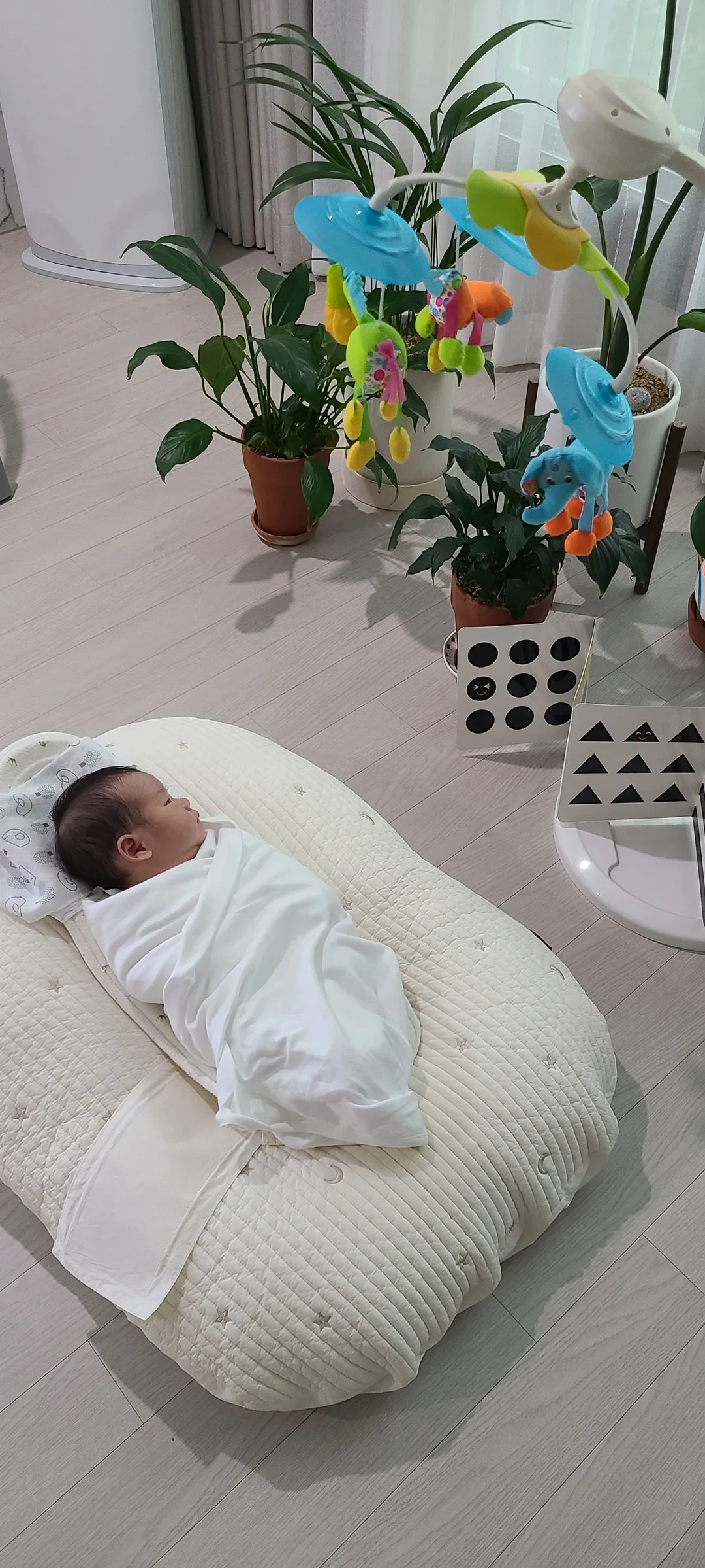 https://image.mom-mom.net/eyJidWNrZXQiOiJtb21tb20tbW9tc3RvdWNoIiwia2V5IjoidHJlbmQvNjE3MGRiYTdkNGQ5MDg5YWNjMGQ0YWFhIiwiZWRpdHMiOnsicmVzaXplIjp7IndpZHRoIjoxMDgwLCJ3aXRob3V0RW5sYXJnZW1lbnQiOnRydWV9fX0=