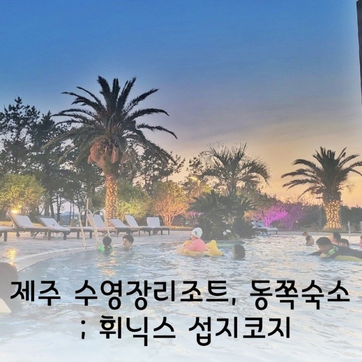 리조트 성산 숙소 추천 ; 휘닉스 제주 섭지코지 로얄룸 수영장후기