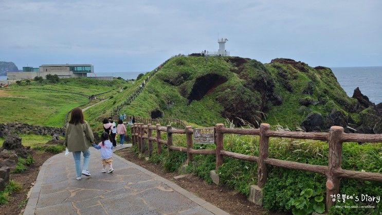 [아이랑 제주여행#26] 휘닉스 제주 섭지코지...