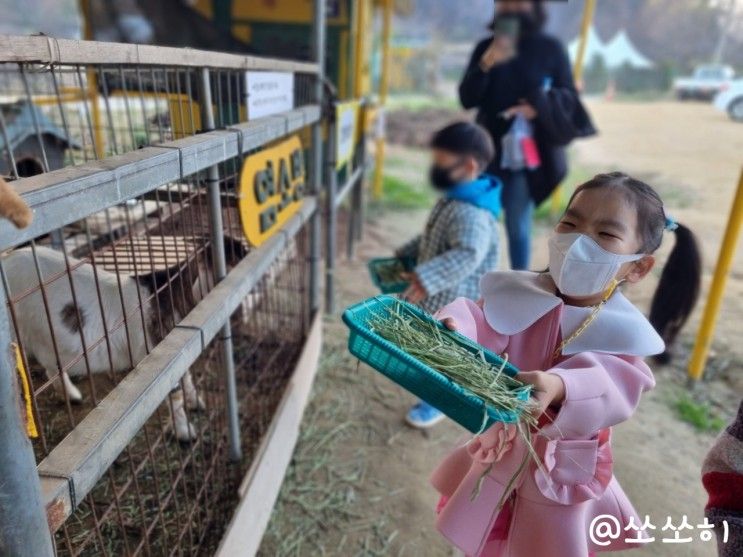 김포곤충농장 아이와 가볼만한 곳 인정!