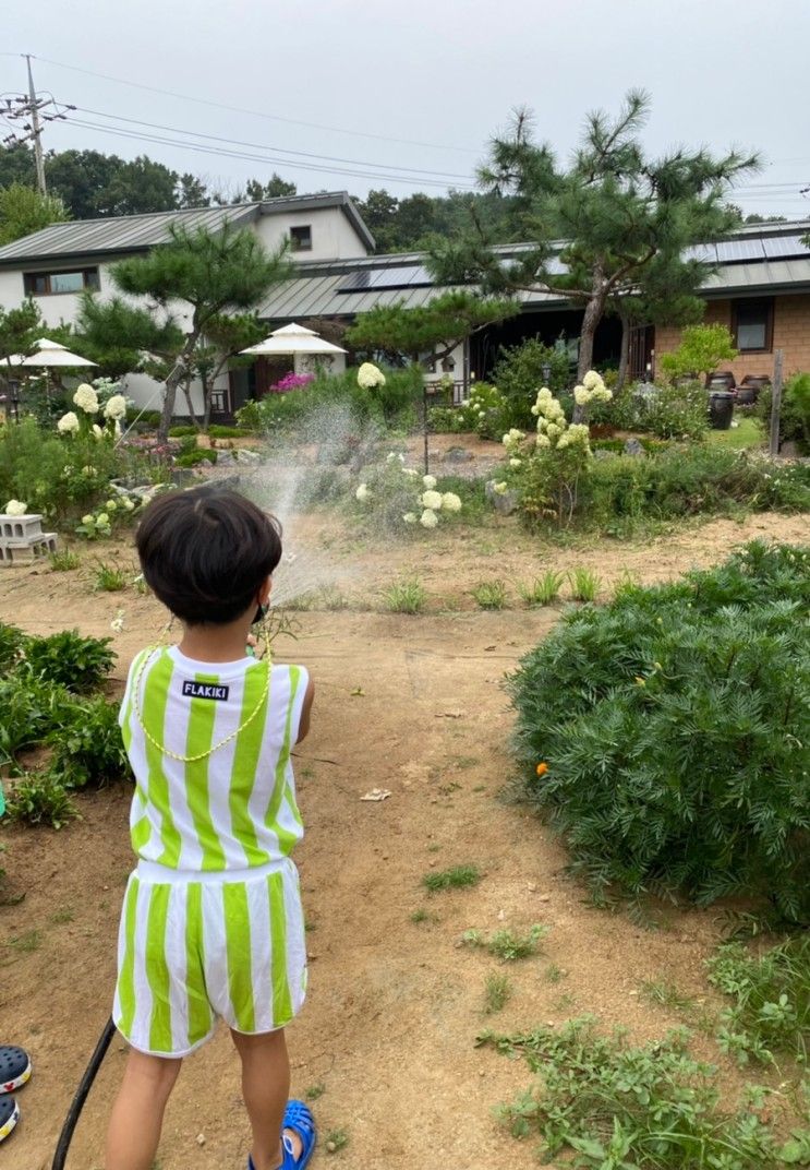 파주 꽃재체험농원 주말 아이와 갈만한 곳 추천 나들이