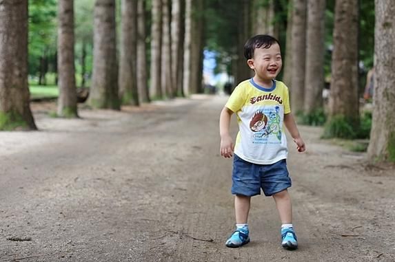 춘천 레고랜드 코리아 리조트: 아이들과 함께 즐기는 특별한 추억