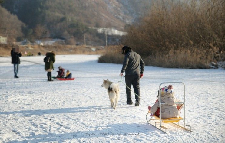 횡성가족펜션 숲속의하루 펜션 눈썰매,빙어낚시까지 신난다!