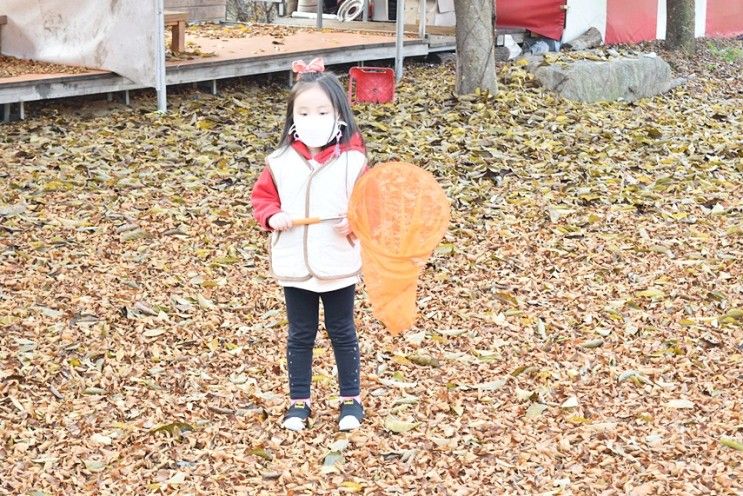 포천 애견펜션 산정호수 아늑한 새로운꿈 펜션