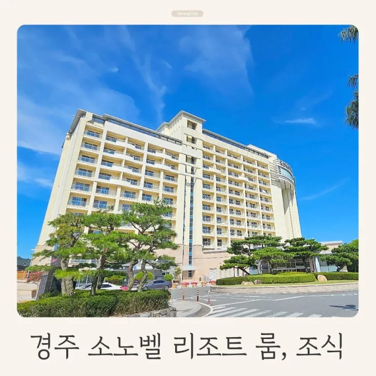 경주 리조트, 소노벨 경주 스위트 (대명리조트) 룸, 조식 후기