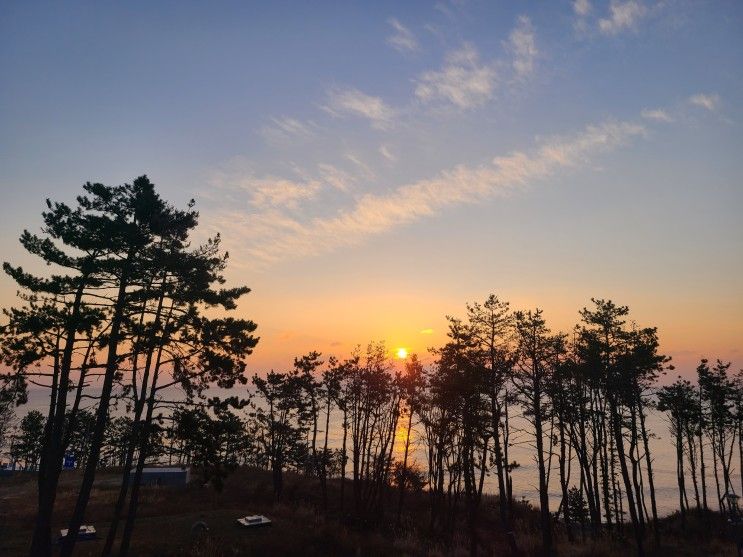 경주오션뷰숙소, 경주가성비숙소 '베스트웨스턴플러스 경주'