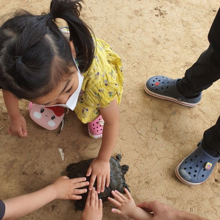 김포곤충농장 (아이들과 김포나들이)