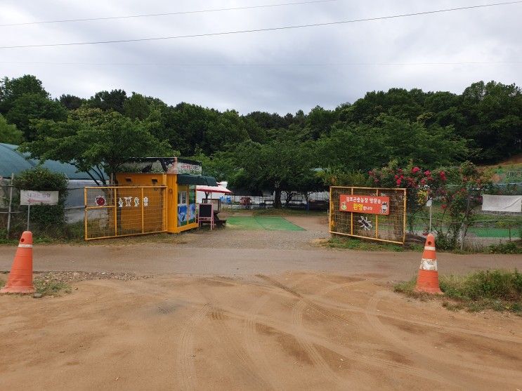 [ 경기도 김포시 곤충체험 ] 김포곤충농장