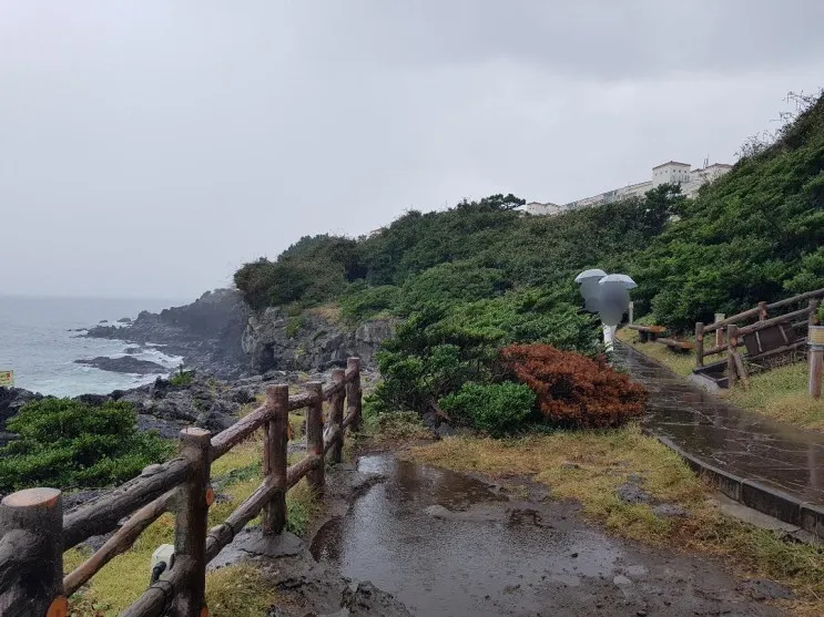 올레5코스 큰엉/금호제주리조트/한반도포토존/카페 로빙화