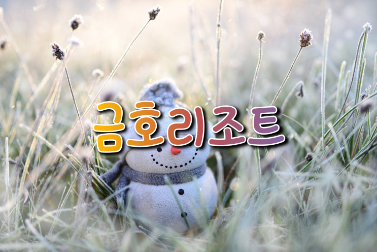 함께하는 금호제주리조트 다녀왔습니다. (feat. 금호리조트회...