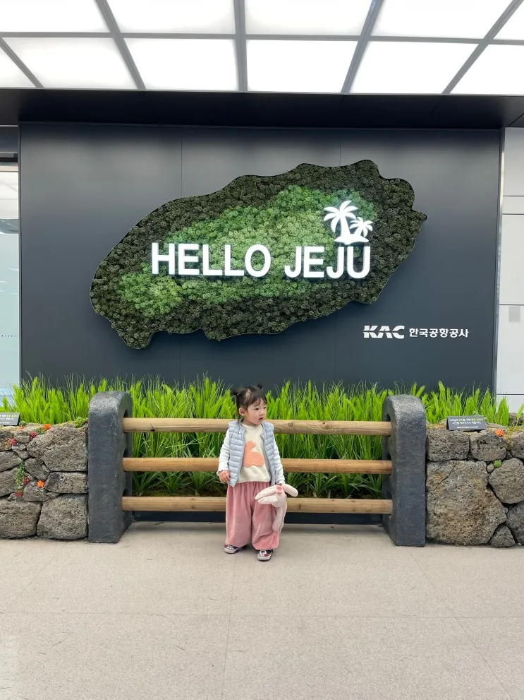 제주 온천 호텔 디아넥스 호텔 슈페리어 더블룸 제주 아이와...