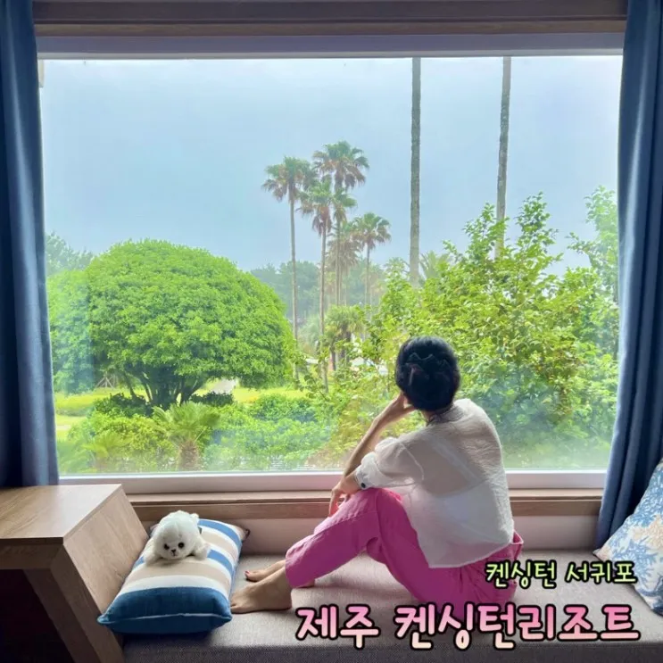 제주 켄싱턴 리조트 서귀포 프리미어