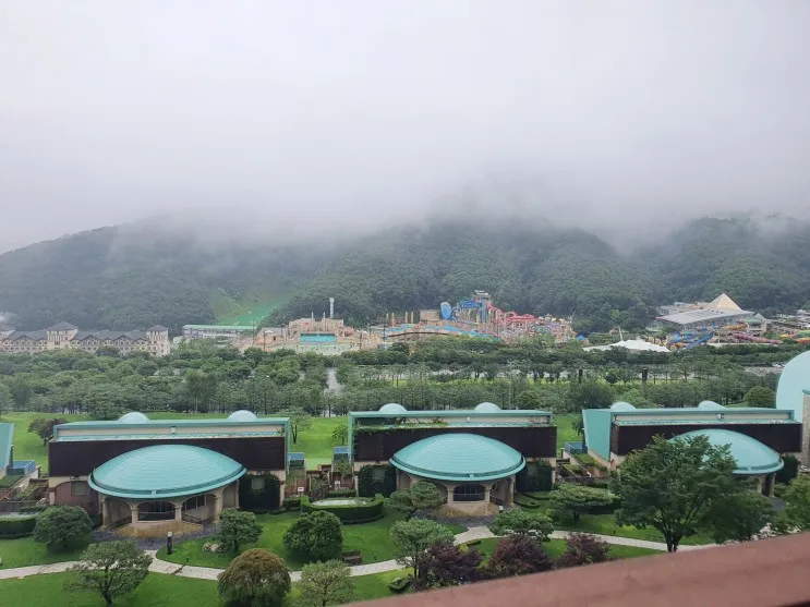 비발디파크 소노펠리체... 놀이기구(5살, 6살 아이와 함께)