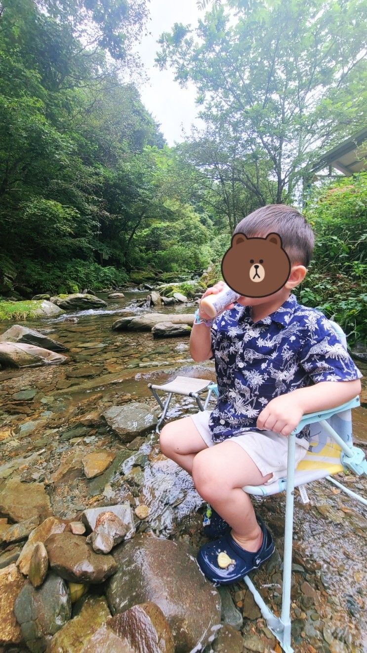 아이랑 평창 여행 - 홀리데이인 평창, 동물 먹이주기, 장전계곡