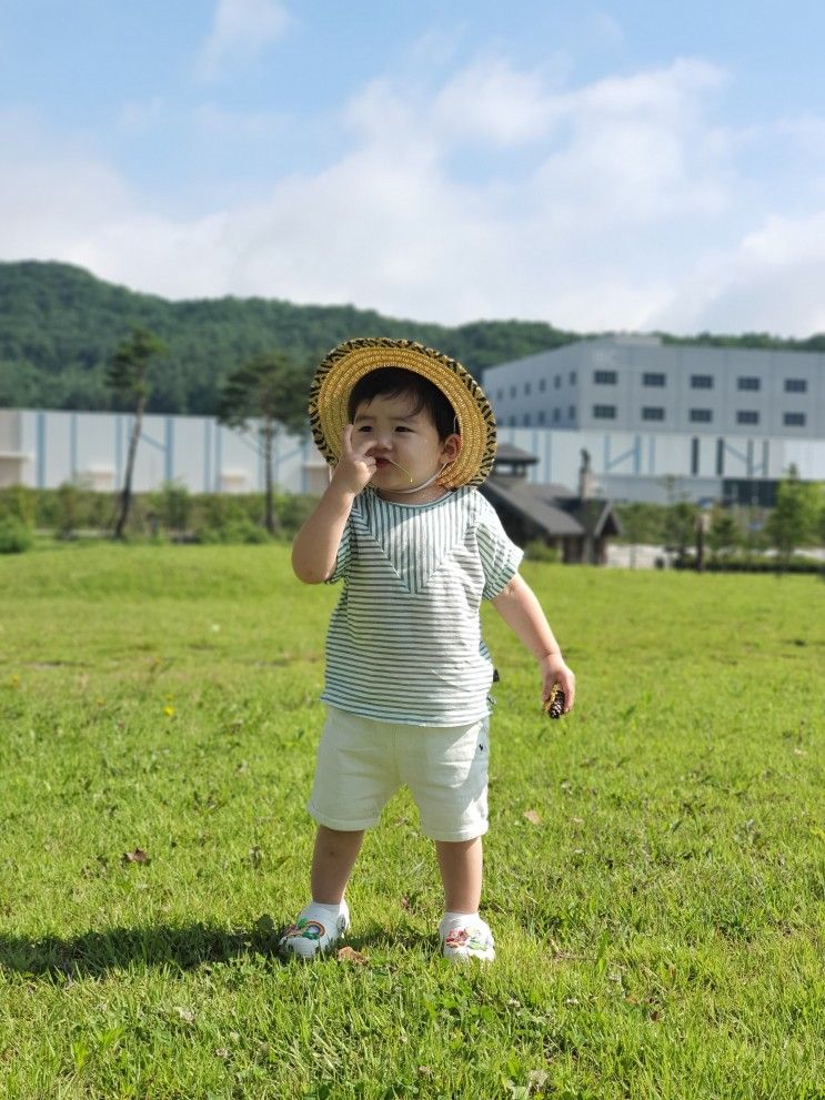 국내 여름 휴가지 추천, 평창 알펜시아 리조트 인터컨티넨탈...