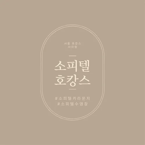 [서울여행] 서울호캉스_소피텔 후기_아이랑호캉스