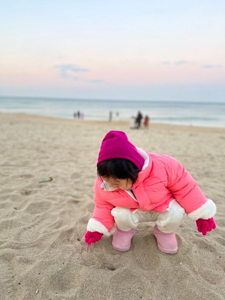 연말 아이랑 강릉여행 세인트존스 호텔