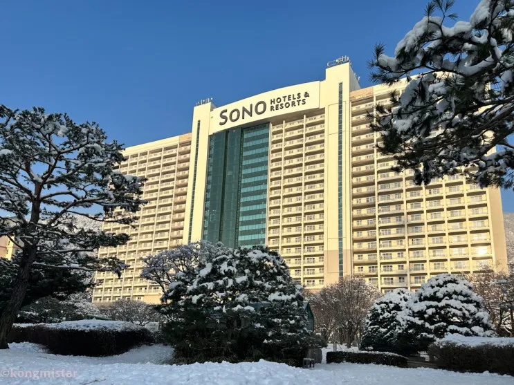 강원도 홍천 소노벨 비발디파크스키장 숙소 셔틀버스 정보 및...