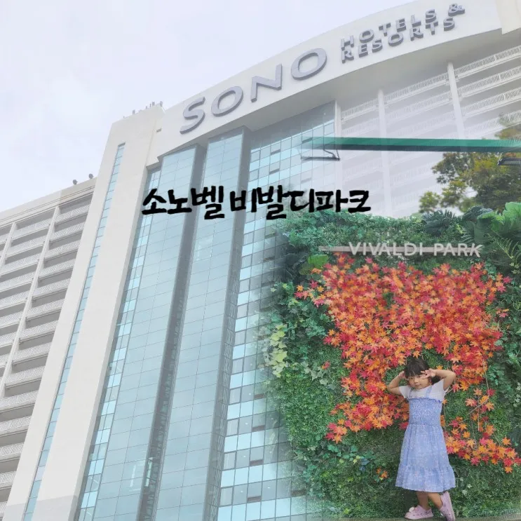 홍천 아이랑 가기좋은 숙소 소노벨 비발디파크 B동(구,오크동)...