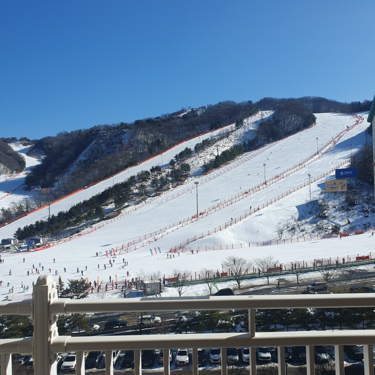 소노벨 비발디파크 A동 스위트 클린 (스키장뷰) 후기