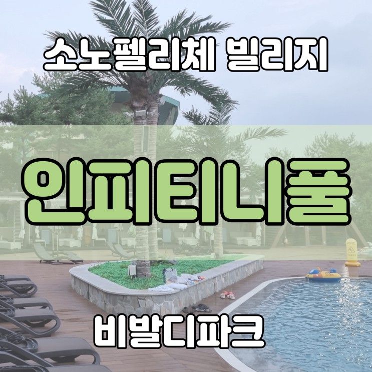 소노펠리체 빌리지 비발디파크 소개 및 인피니티풀 수영장 후기