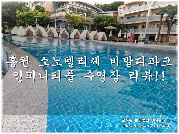홍천 소노펠리체빌리지 비발디파크 , 인피니티풀 수영장...