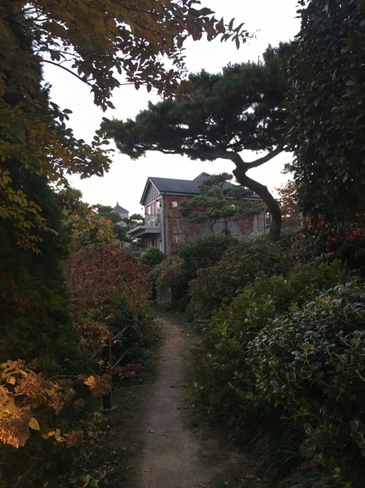 태안 안면도 펜션 (숙소)/ 맛집/즐길거리