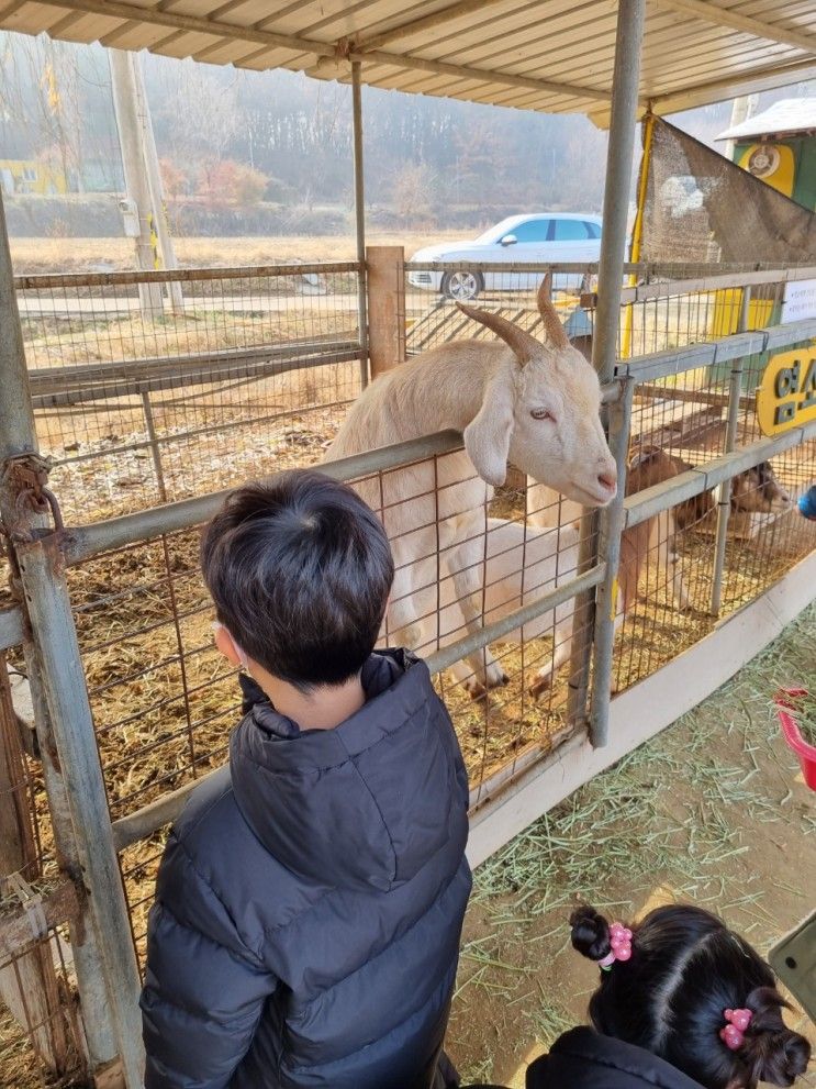 김포곤충농장 아이와 함께 체험후기