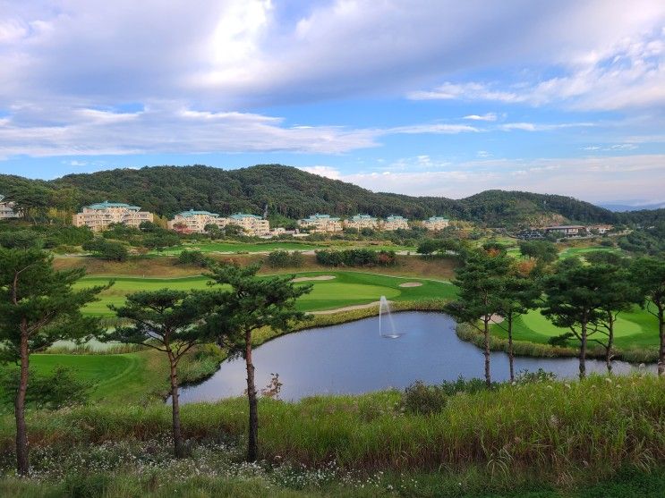 소노펠리체 빌리지 비발디파크 로얄스위트