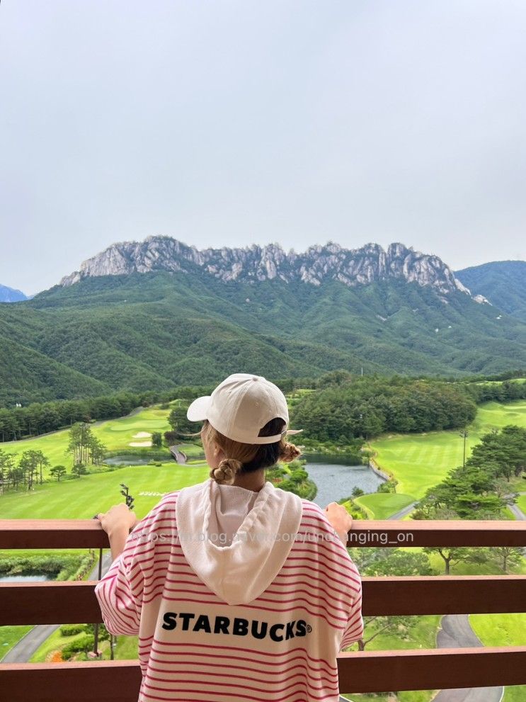 블로그 보고 많이 찾는다는 소노캄 델피노 AB 울산바위 뷰...