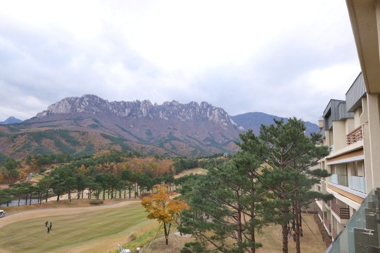 델피노 설악리조트, 아이동반 3인가족 소노캄 C동 이용기 및...