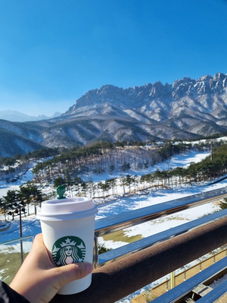 강원도 설악산 울산바위 보러간 대명리조트 델피노 소노캄 C동...