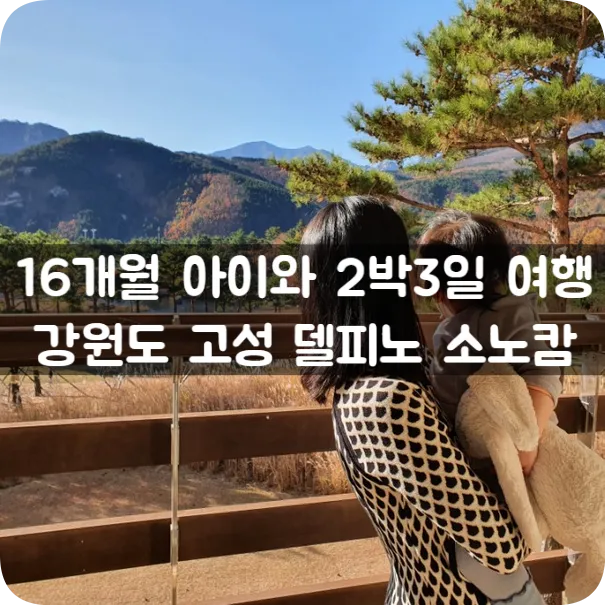 16개월 아이와 2박3일 여행, 강원도 고성 델피노 소노캄