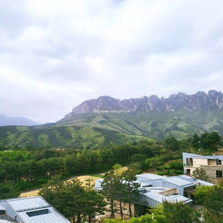 고성 여행 숙소 소노펠리체 빌리지 델피노 ● 조식과 주변...