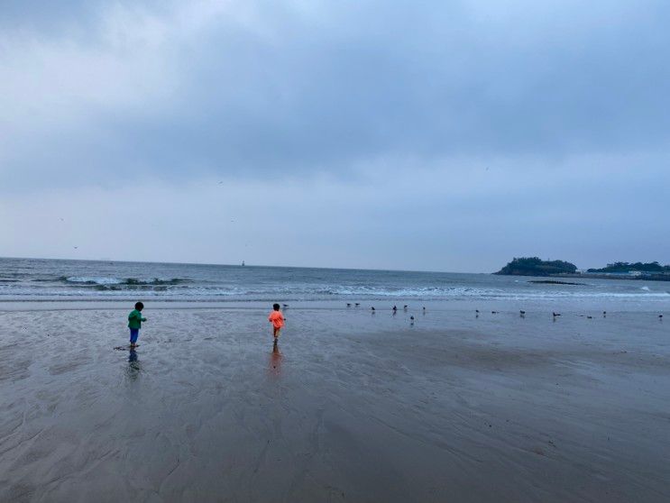 전북 부안여행 소노벨 변산 스위트 클린룸 후기