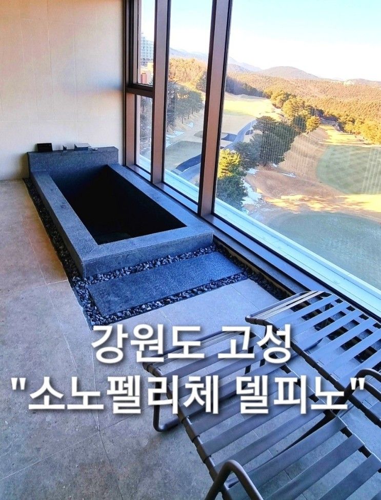 [아이랑 강원도 고성 여행 숙소... 고성 소노펠리체 델피노...