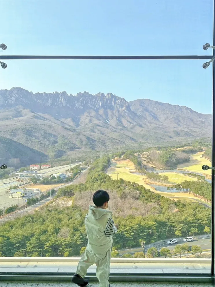 델피노 소노펠리체 더엠브로시아 카페☕️ :) 고성여행