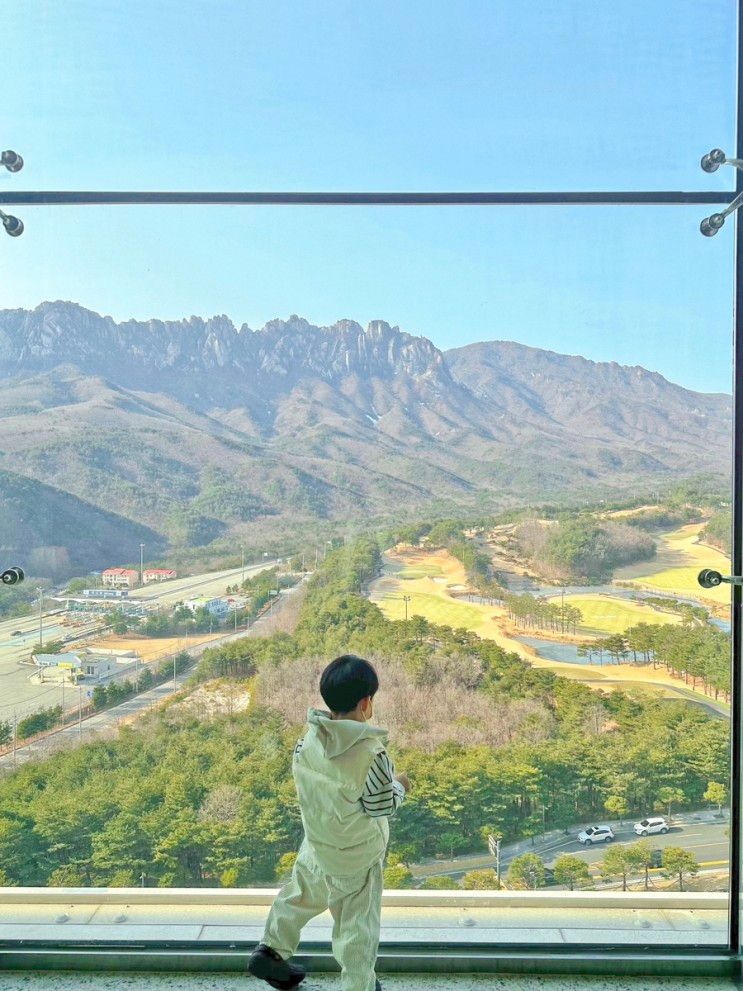 델피노 소노펠리체 더엠브로시아 카페☕️ :) 고성여행