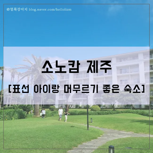 소노캄 제주 패밀리 클린룸 킹베드, 표선 아이랑 숙소 리조트 추천