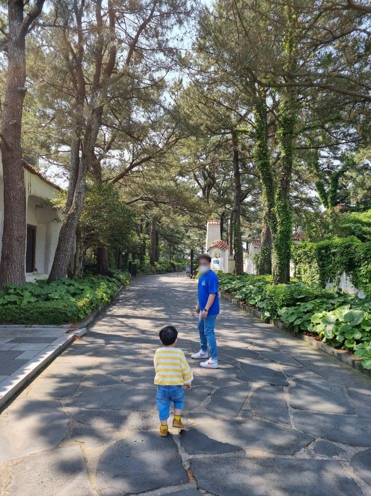 [제주/아이랑] 아이 둘을 데리고 떠난 제주도 여행기 2일차