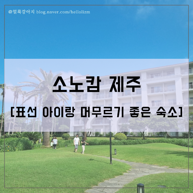 소노캄 제주 패밀리 클린룸 킹베드, 표선 아이랑 숙소 리조트 추천